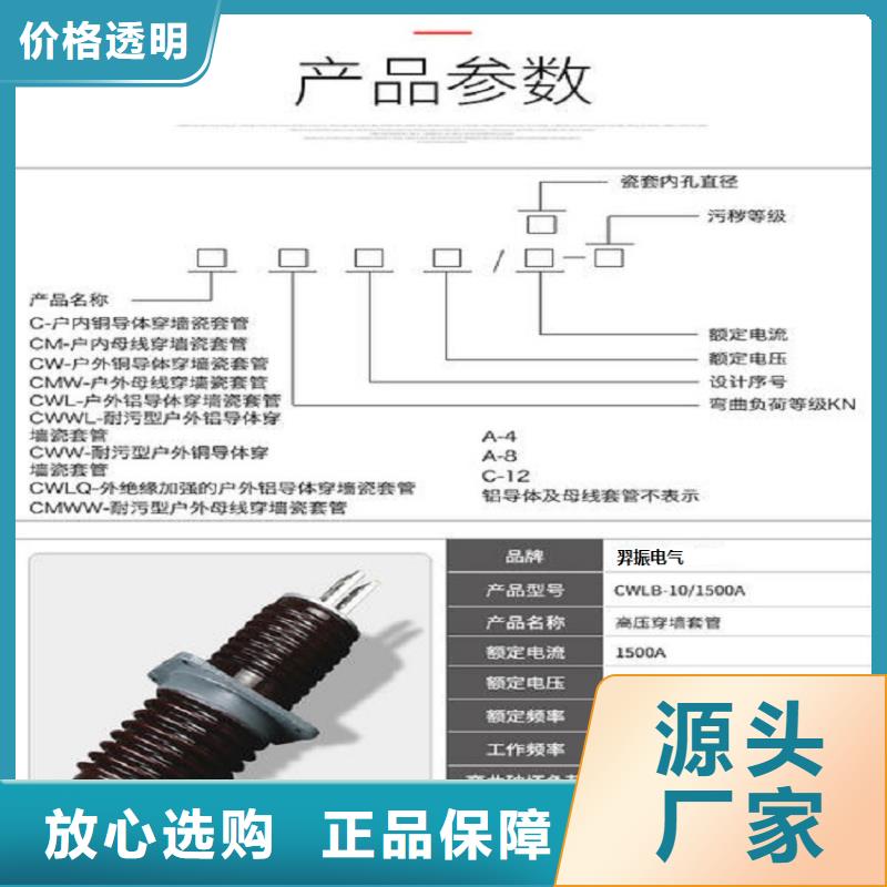 【羿振电气】交流穿墙套管,AC10KV,陶瓷,1600A,无CT,铜