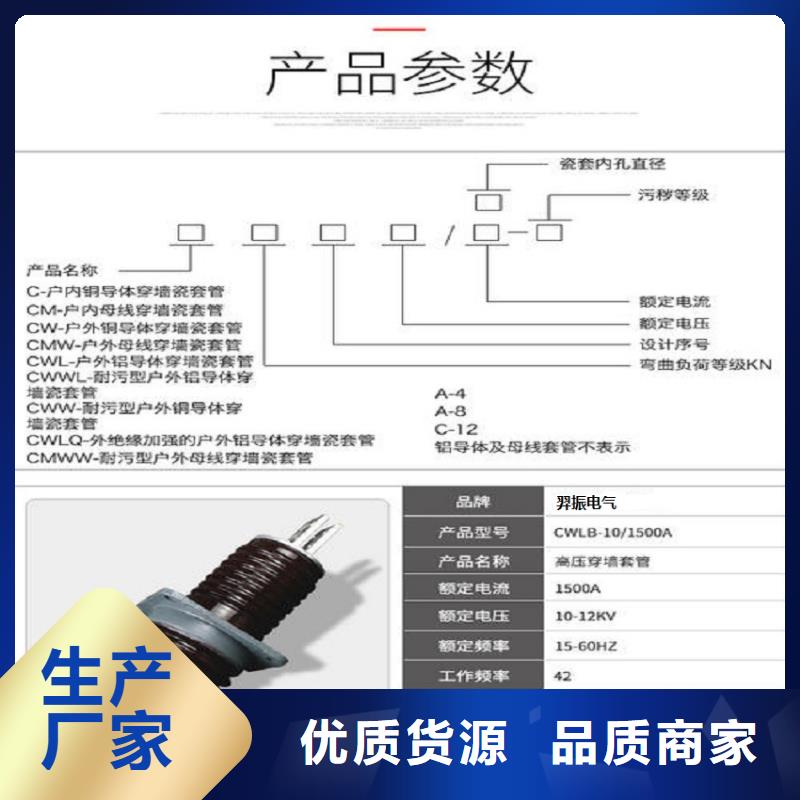 【高压穿墙套管】CWWL-40.5/1000