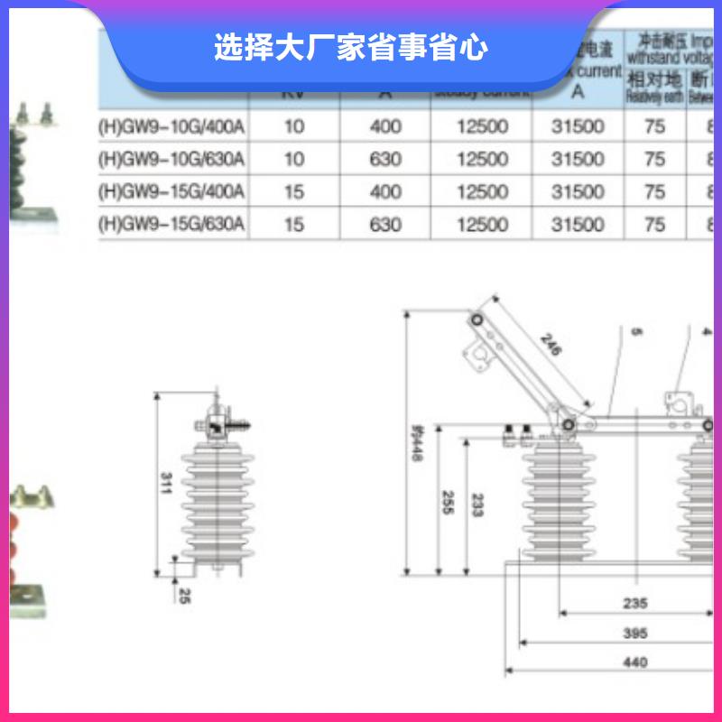 品牌【羿振电气】HGW9-15/1000户外高压交流隔离开关隔离刀闸生产厂家