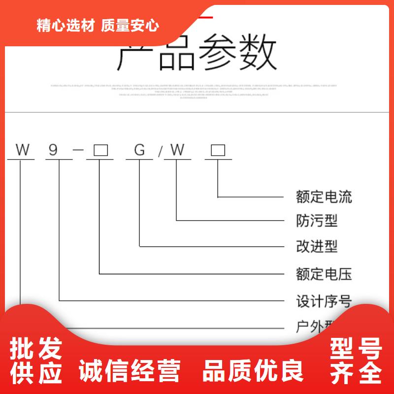 10KV单级隔离开关GW9-15G/400A