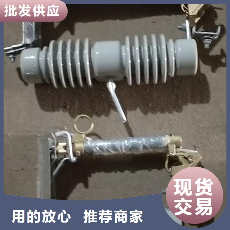 【跌落式熔断器】RW12-10/100