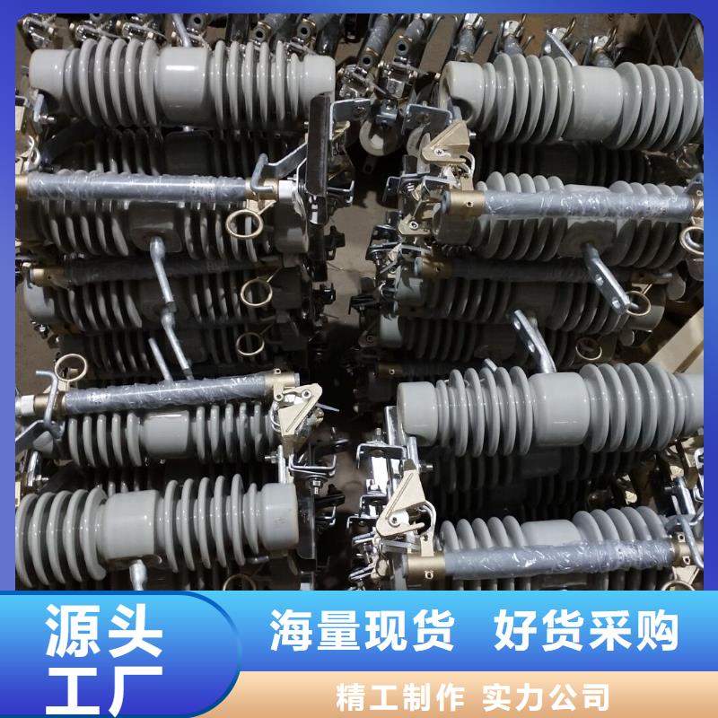 跌落式熔断器PRW12-10KV/100A