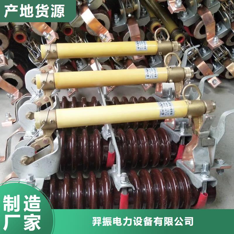 跌落式开关/RW12-24KV/100A