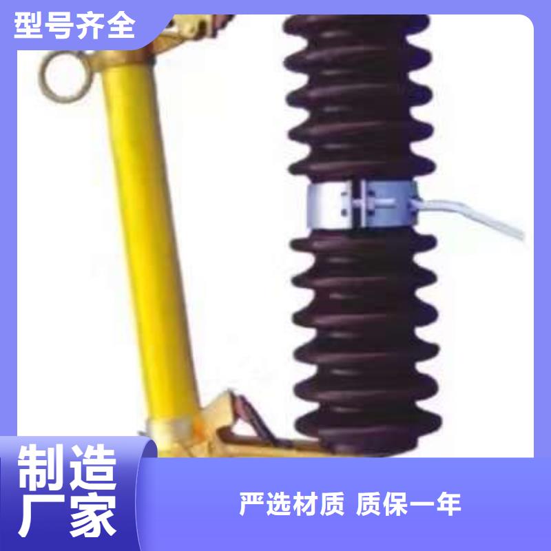 熔断器-跌落式熔断器RW12-15/100A