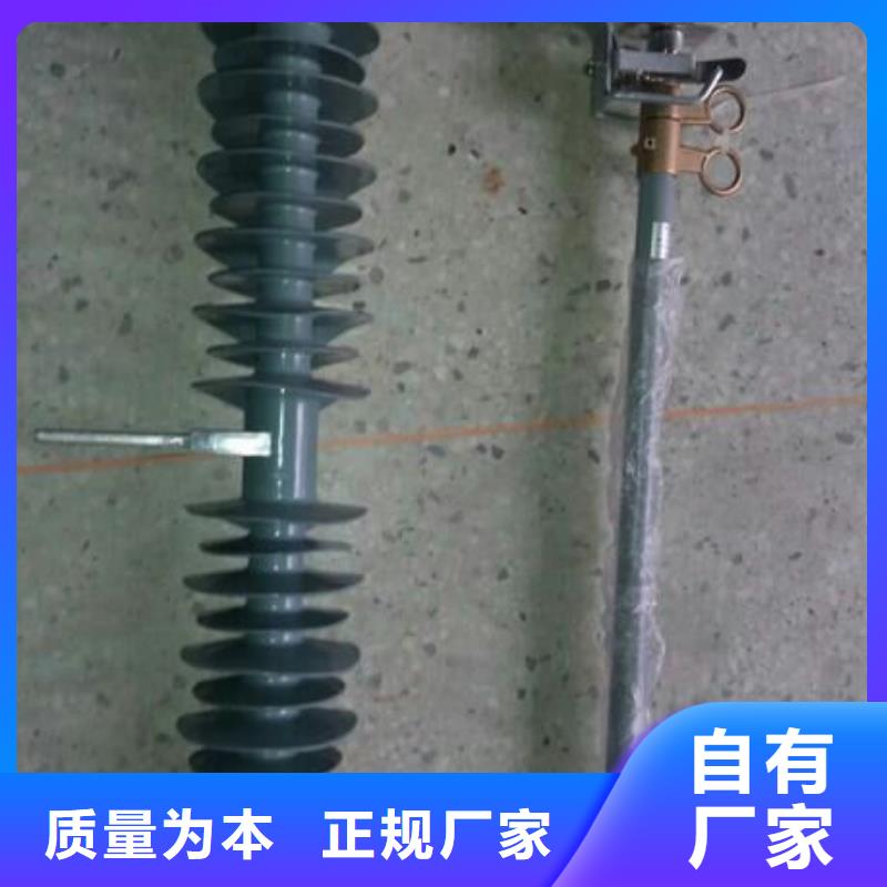 跌落式熔断器PRW12-10KV/100A