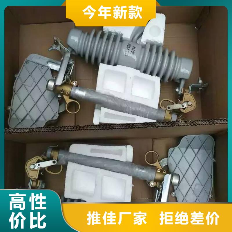 -跌落式熔断器RW11-12KV;HRW11-12KV/厂家供货