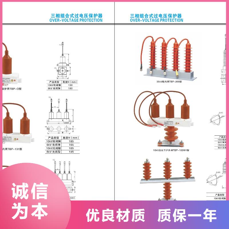 ZSQ-63/4-3_支持绝缘子