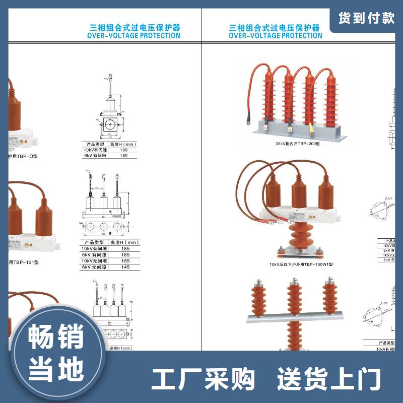 ZW32-12/630A户外高压柱上真空断路器手动智能型看门狗10KV