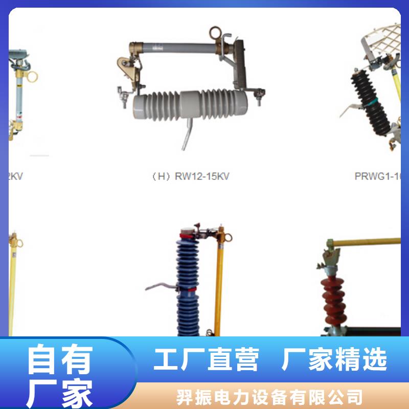 跌落式熔断器HRW-12F/100A