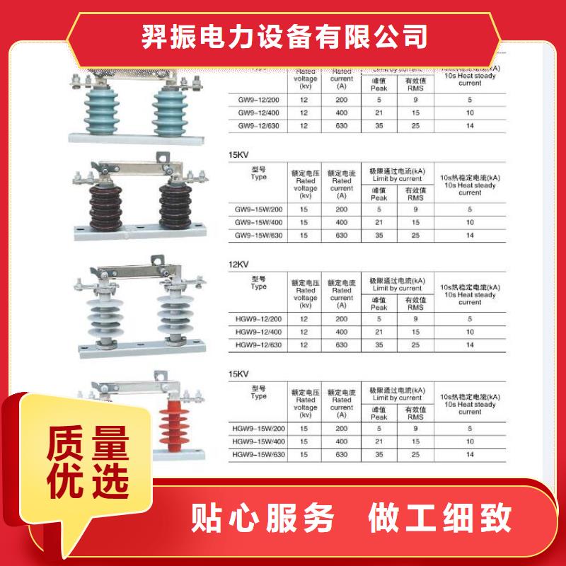 ZSW20-252/8-3_支持绝缘子【浙江羿振电气有限公司】