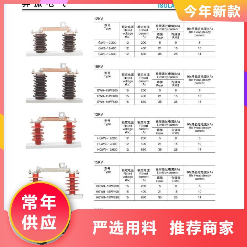 户外高压交流隔离开关GW9-10G(W)/200