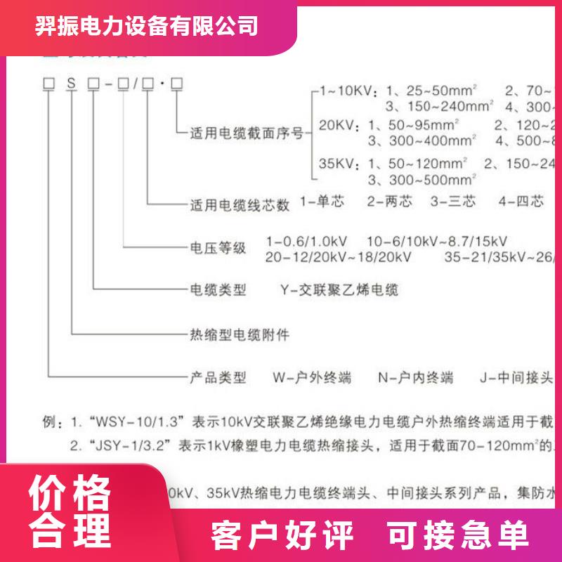 -户外热缩电缆终端头20KVRSWY-1/2