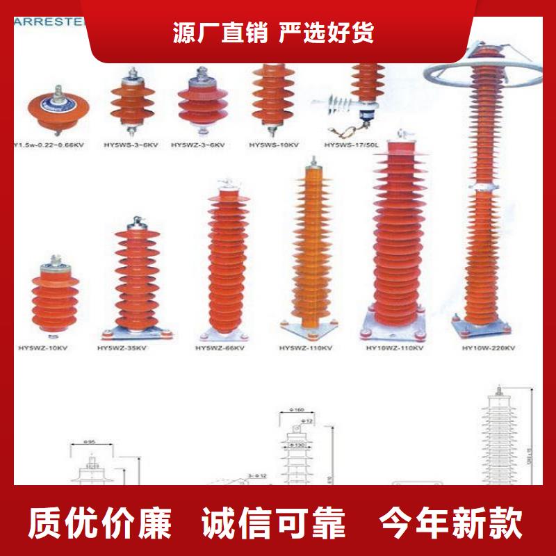 【避雷器】YH5CX5-100/260，放电计数器-上海羿振电力设备有限公司