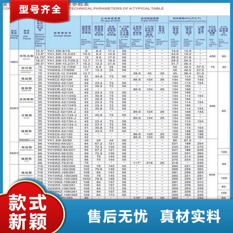 避雷器Y10W-200/496.