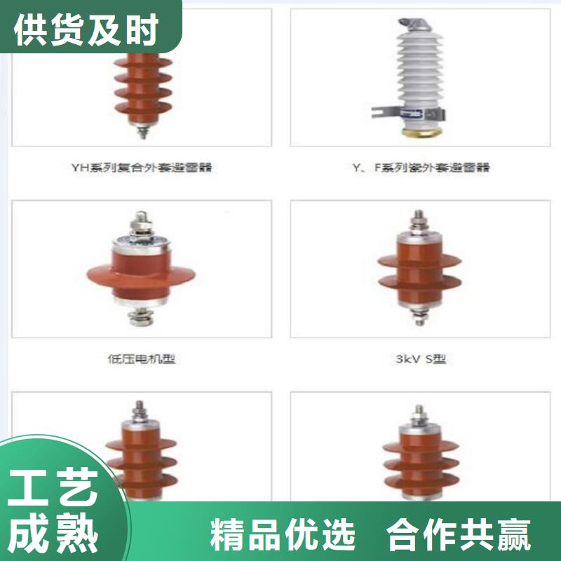 避雷器YH10WZ-102/266GY【羿振电力设备】