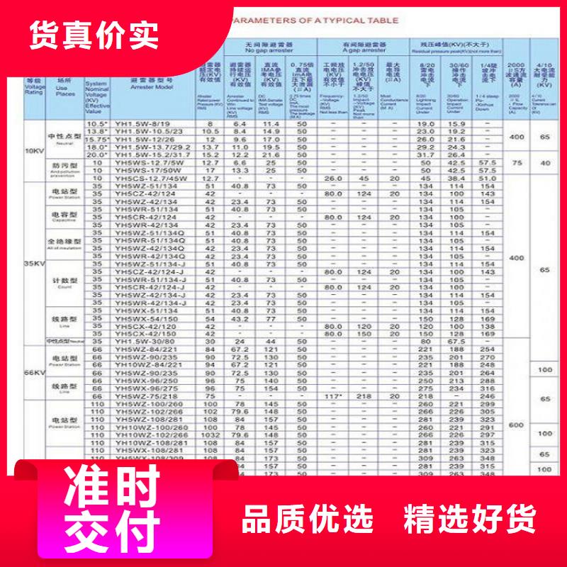 _避雷器HY5WD-20/45【羿振电力设备】