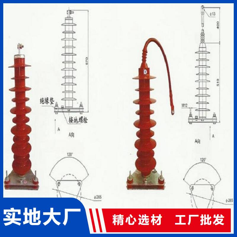 【避雷器】YH5CX5-100/260，放电计数器-上海羿振电力设备有限公司