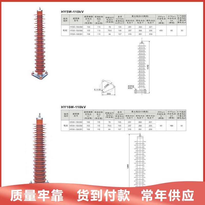 避雷器Y10W1-96/238【羿振电气】