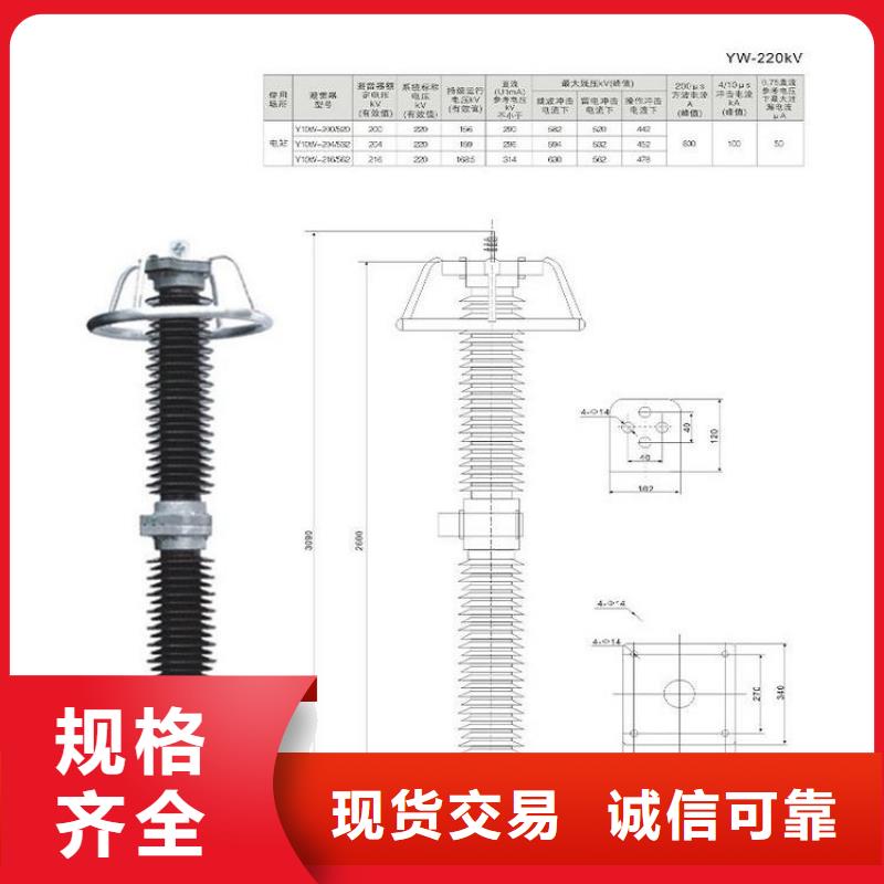 避雷器HY5CS-42/124【羿振电力】