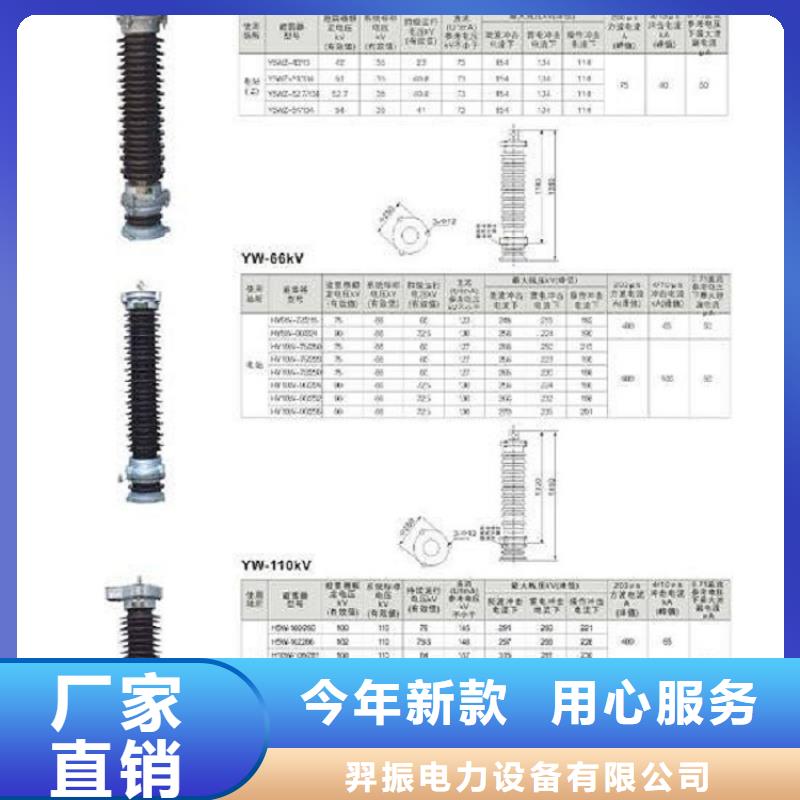 避雷器YH10WZ-102/266GY【羿振电力设备】