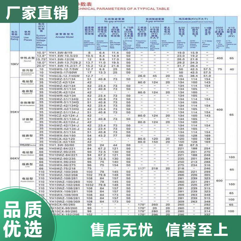 【避雷器】YH10WS-100/260