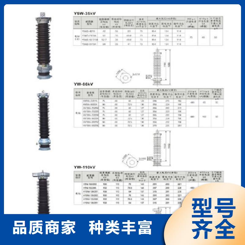 HY5WD-8/18.7-上海羿振电力设备有限公司