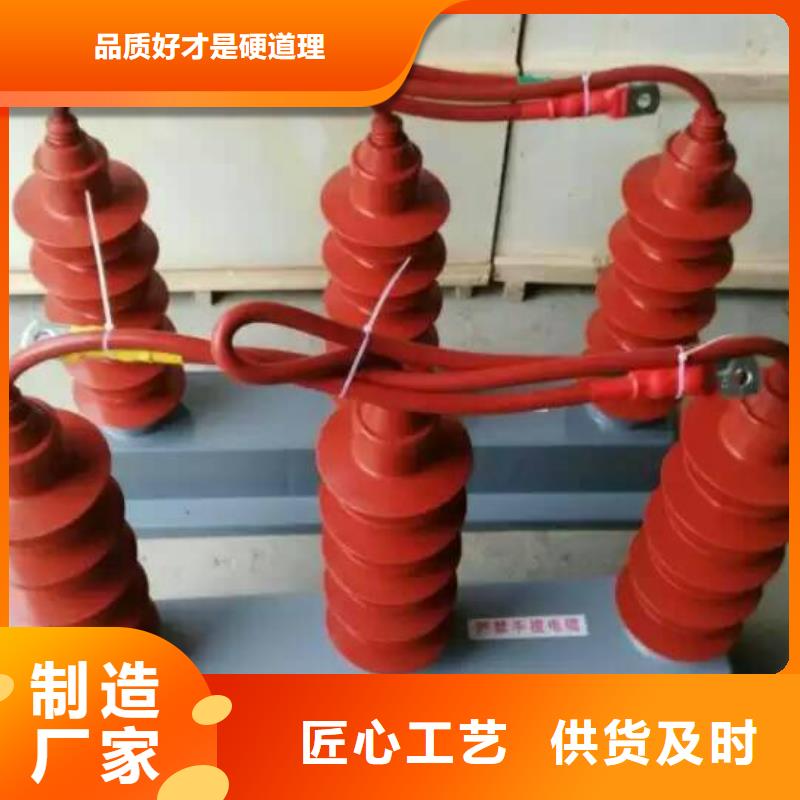 【过电压保护器/组合式避雷器】YH5WZ-17/45*2