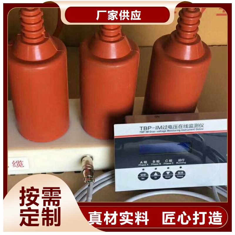 【过电压吸收装置】TBP-W-C/35-T组合过电压保护器