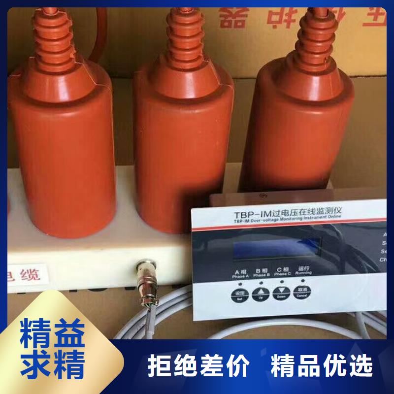 【过电压保护器/组合式避雷器】TBP-A-42F/280