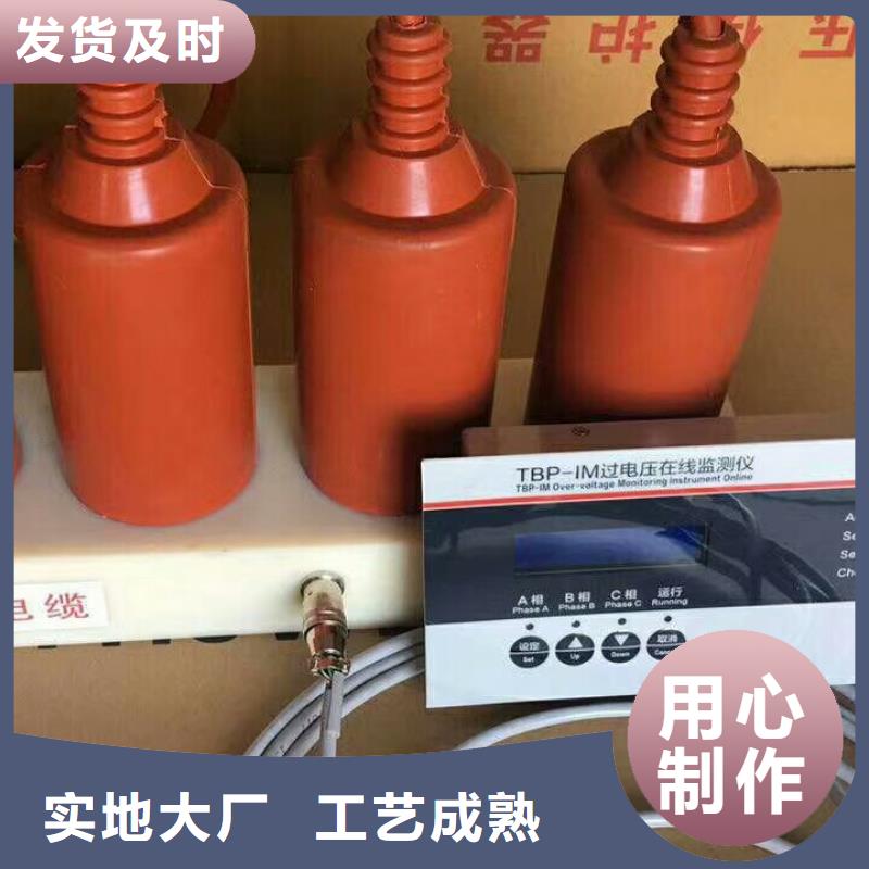 〖过电压保护器〗TBP-A-42F/400W直供厂家