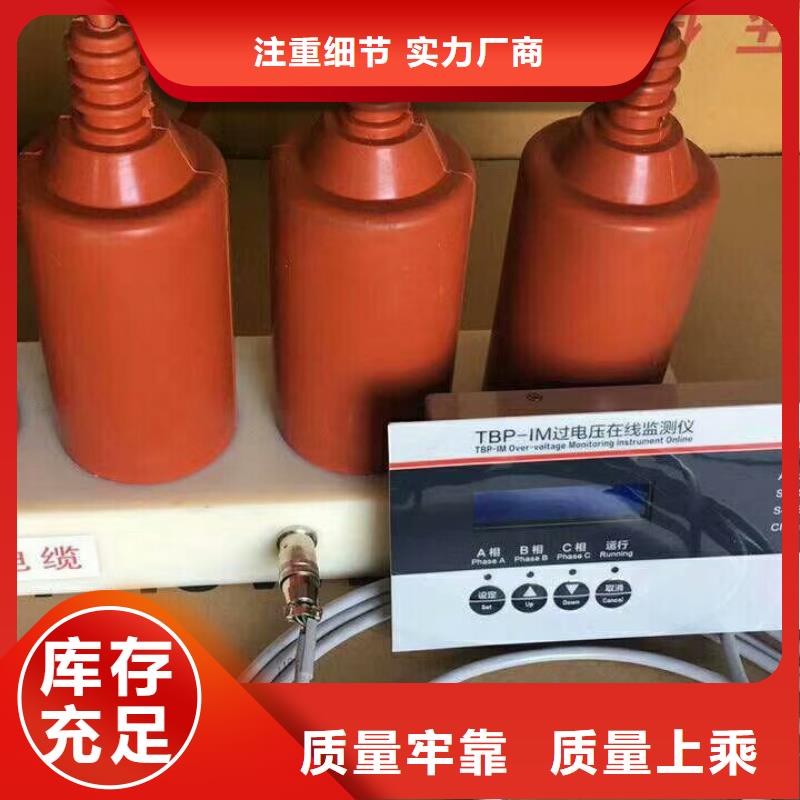 〖过电压保护器〗TBP-C-35/310优惠报价