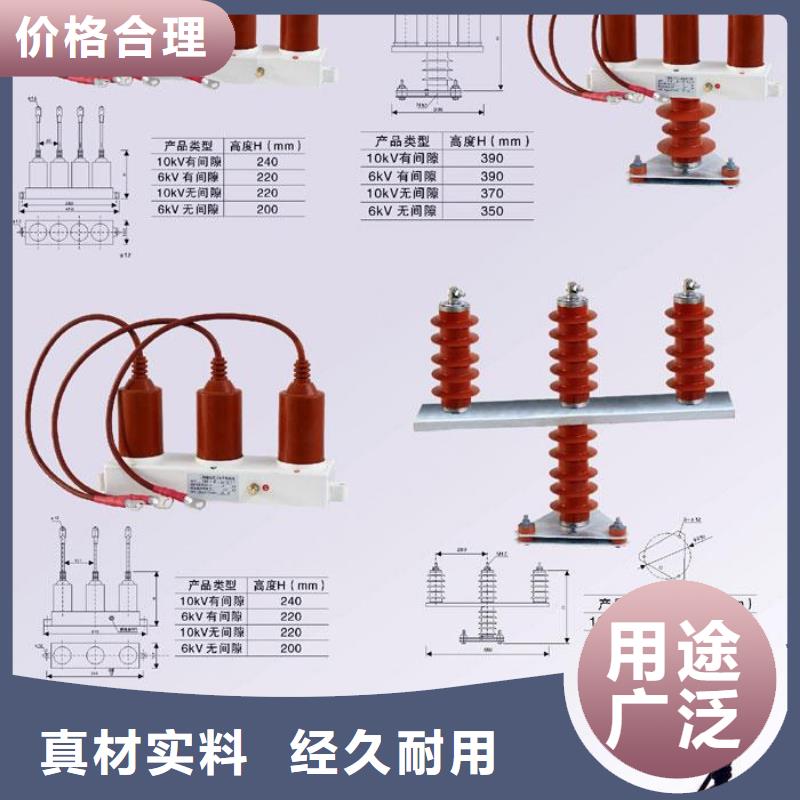 【羿振电气】保护器(组合式避雷器)BSTG-B-42F/630W2