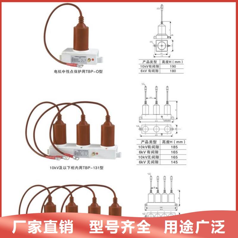 保护器(组合式避雷器)BSTG-B-12.7/131