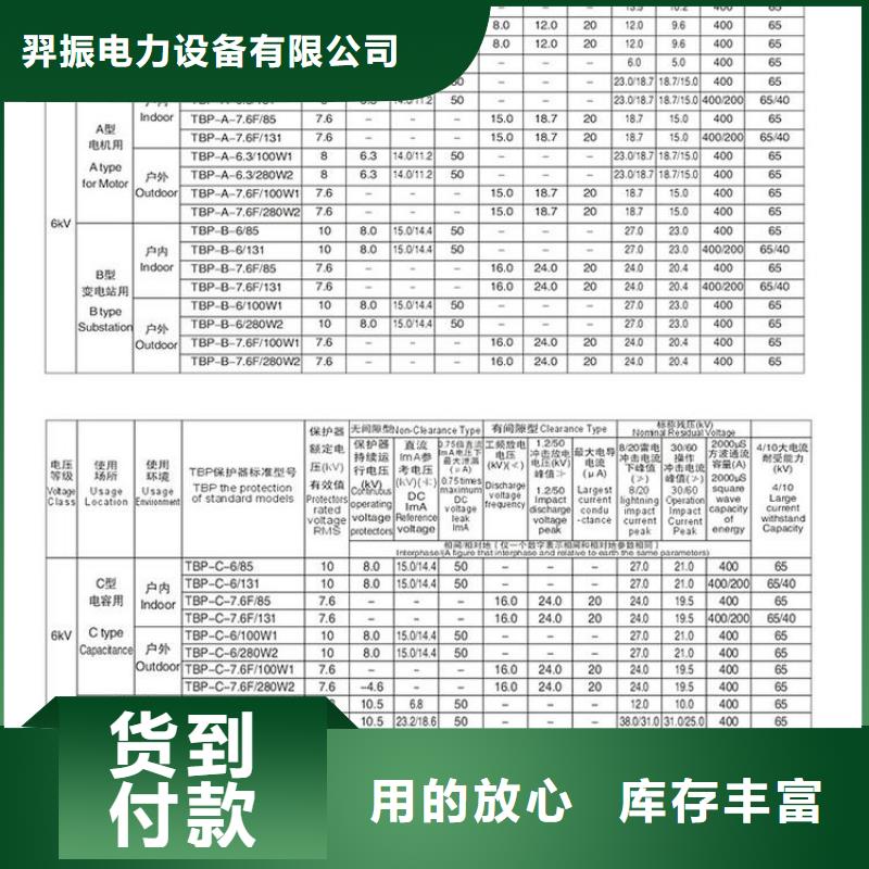 〖过电压保护器〗TBP-C-35/310优惠报价