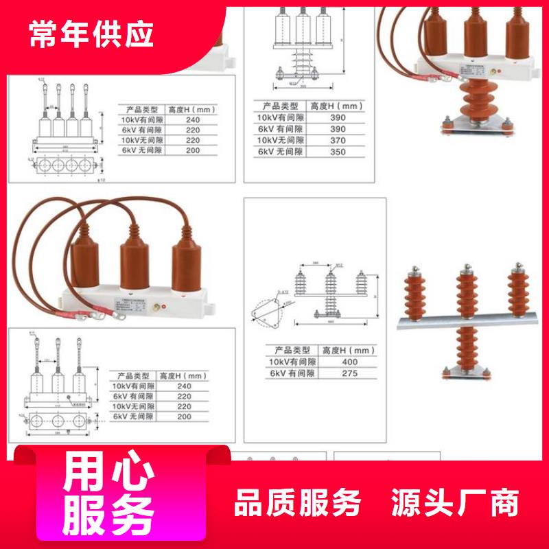 〖过电压保护器〗BSTG-A-17/600优惠报价