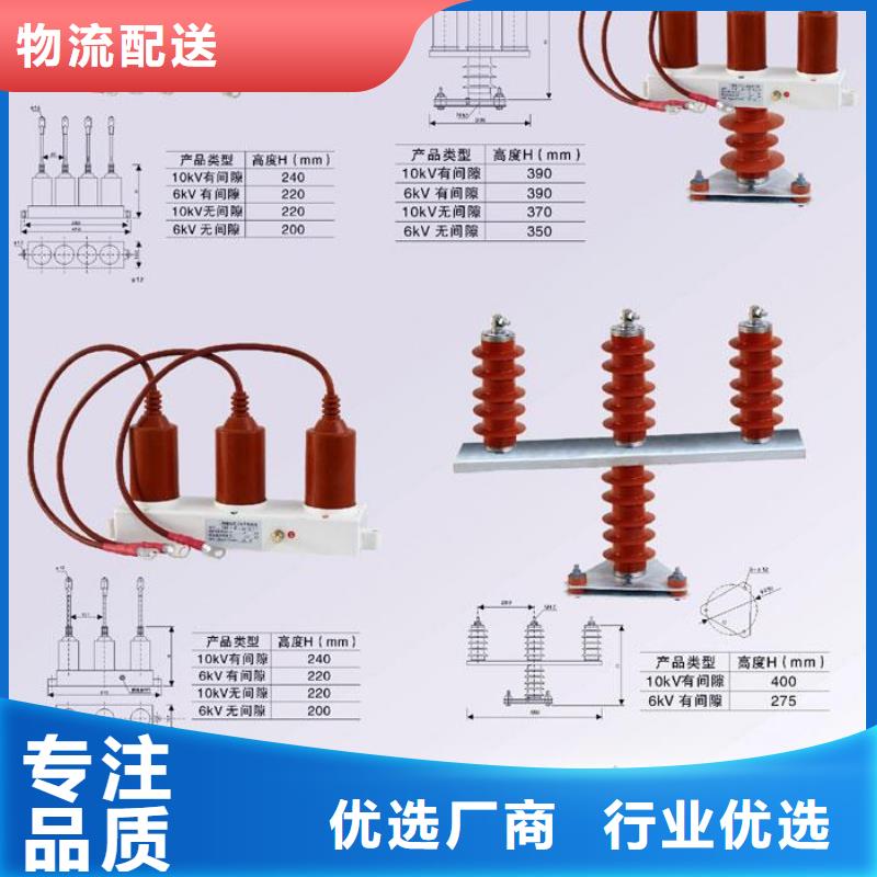 保护器(组合式避雷器)TBP-C-42/630W2