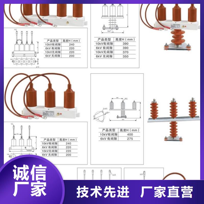 保护器(组合式避雷器)TBP-C-12.7/131