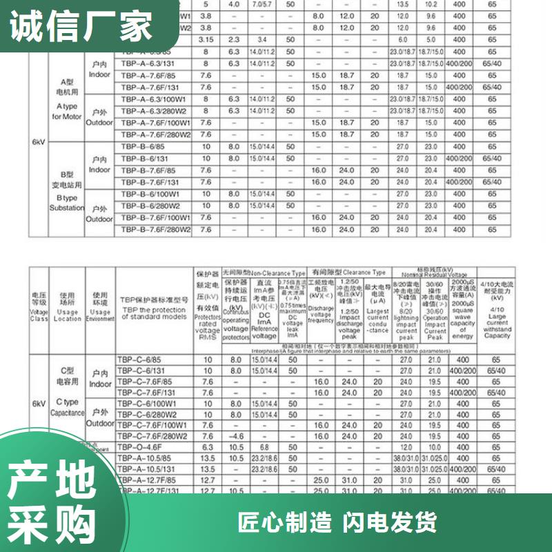 保护器(组合式避雷器)TBF-A-12.7F/131