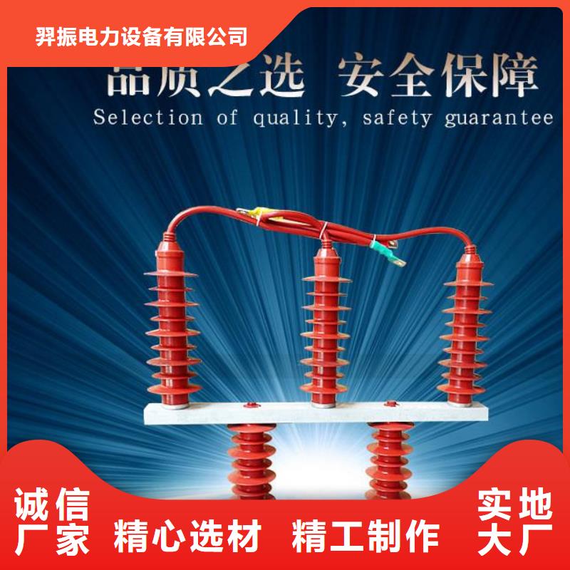 羿振电气牌：BSTG-A-6.3-J-过电压保护器避雷器生产厂家