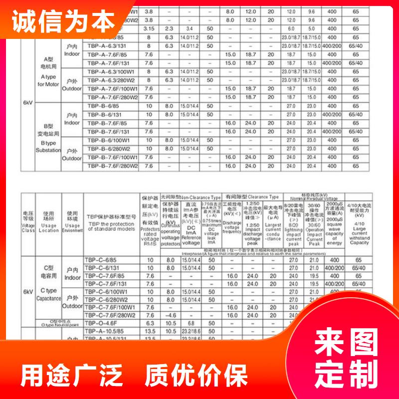 羿振电气牌：BSTG-A-6.3-J-过电压保护器避雷器生产厂家