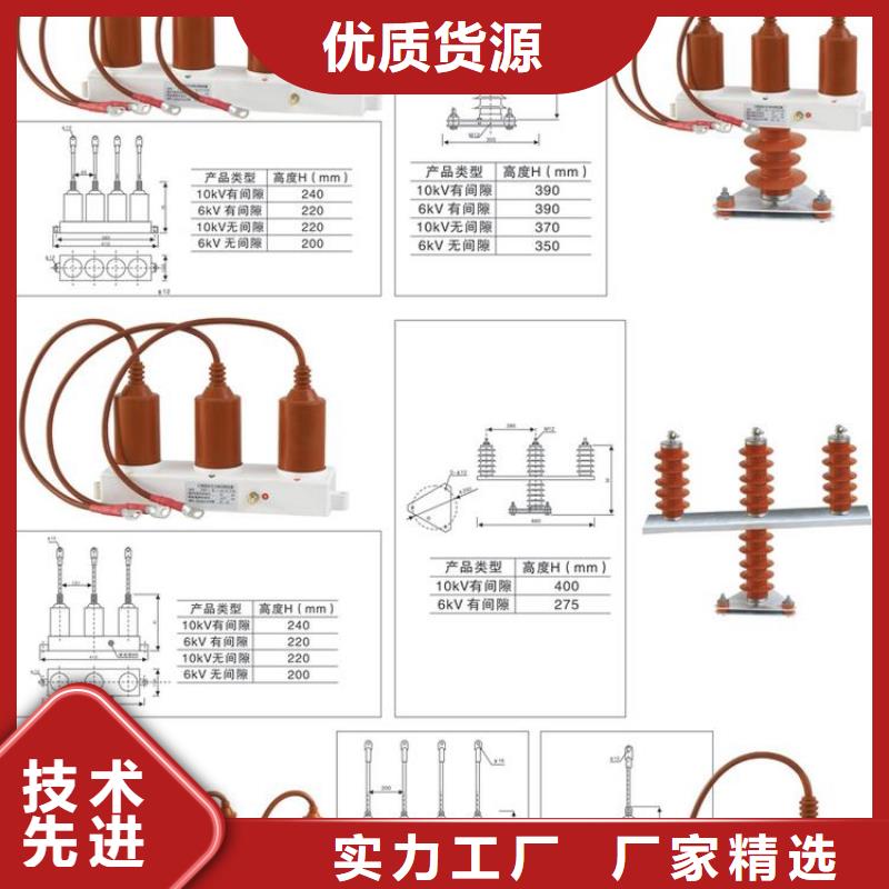 保护器(组合式避雷器)TBP-Y-A/35-F过电压保护器