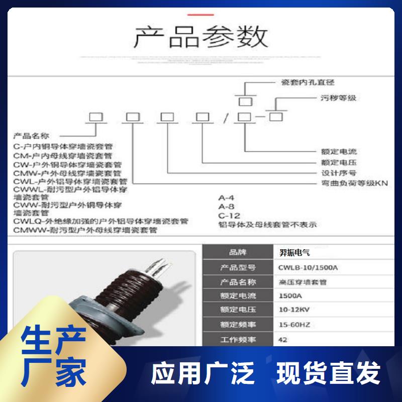 【穿墙套管】CWLB-40.5KV/3150A