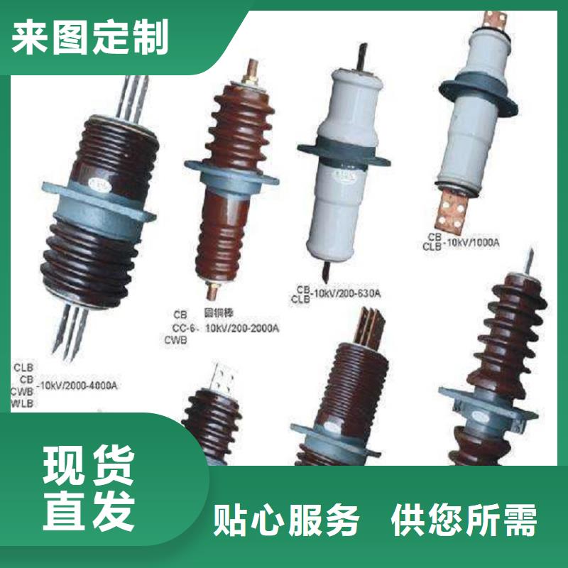 【羿振牌】穿墙套管CWWL-10/1000A-4