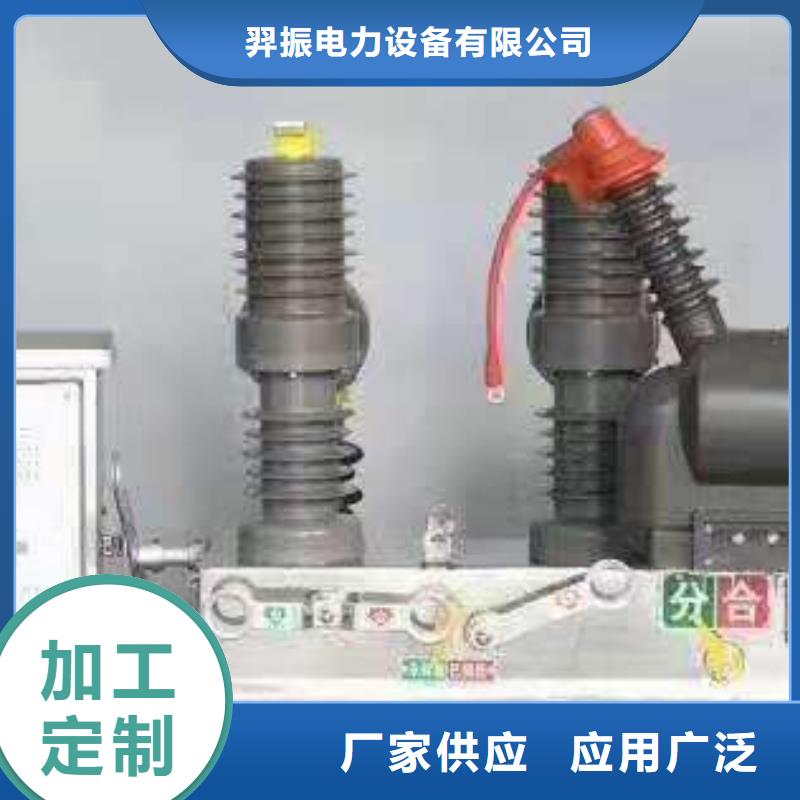 【真空断路器】ZW32F-12/T630-20