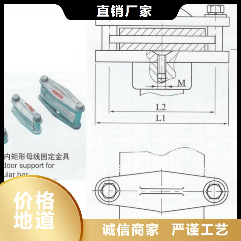 母线夹具MWP-301.