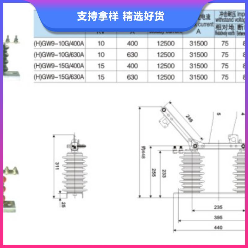 10KV单级隔离开关GW9-12G/200