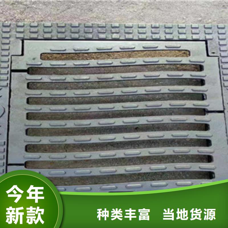 铸造*/|球墨铸铁篦子（长篦子）