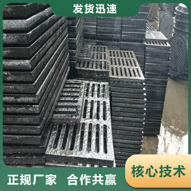 铸造*/|球墨铸铁篦子（长篦子）