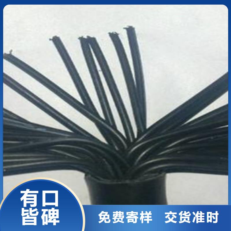 ZR-RVVS阻燃通讯电缆