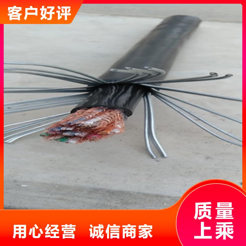 MHYVP矿用信号电缆-视频-五河|龙子湖|宿州|马鞍山MHYVP矿用信号电缆_电缆总厂分厂(蚌埠市分公司)(蚌埠市分公司)